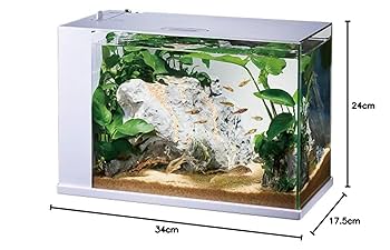 Amazon | ジェックス GEX ガラス AQUARIUM ラクテリア 水換え